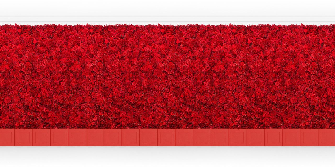Amanda – 25 ft