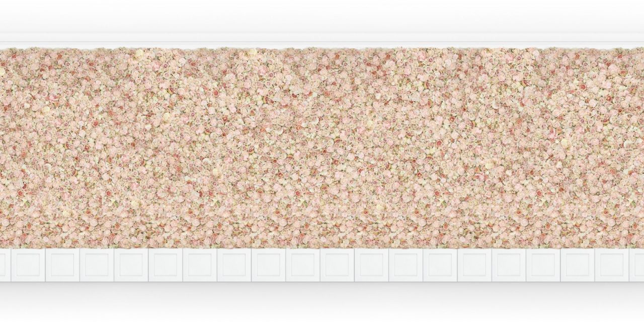 Natalie – 28 ft